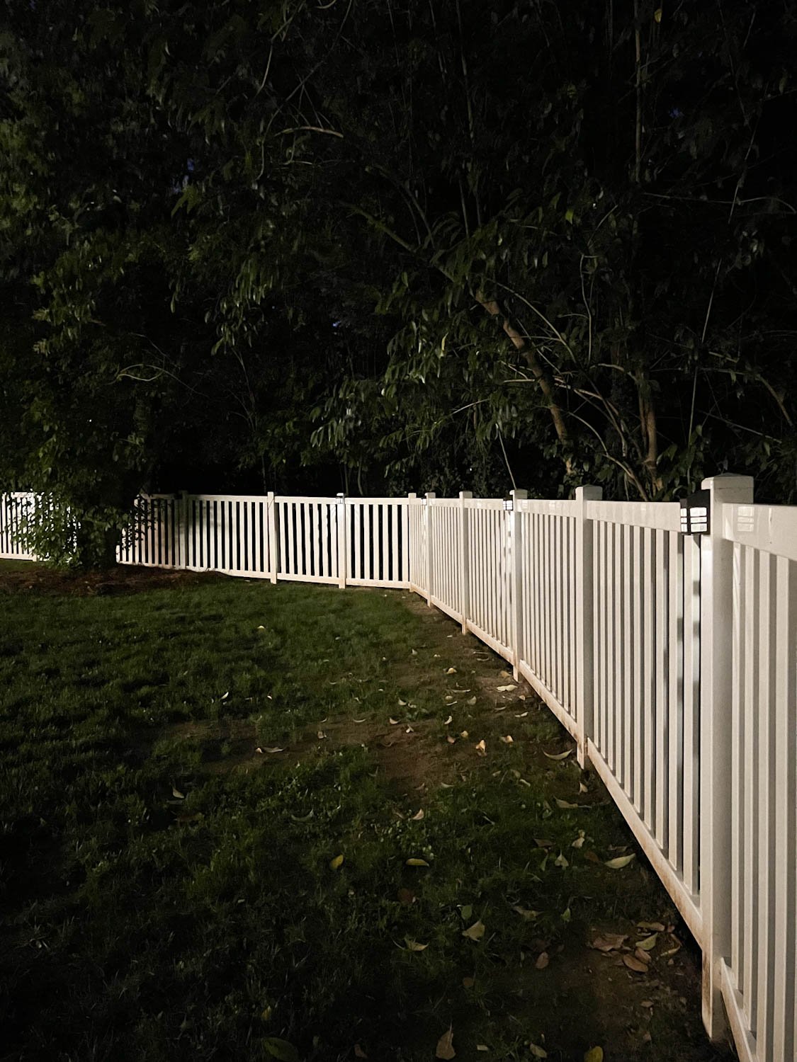 solar lights on a backyard fence