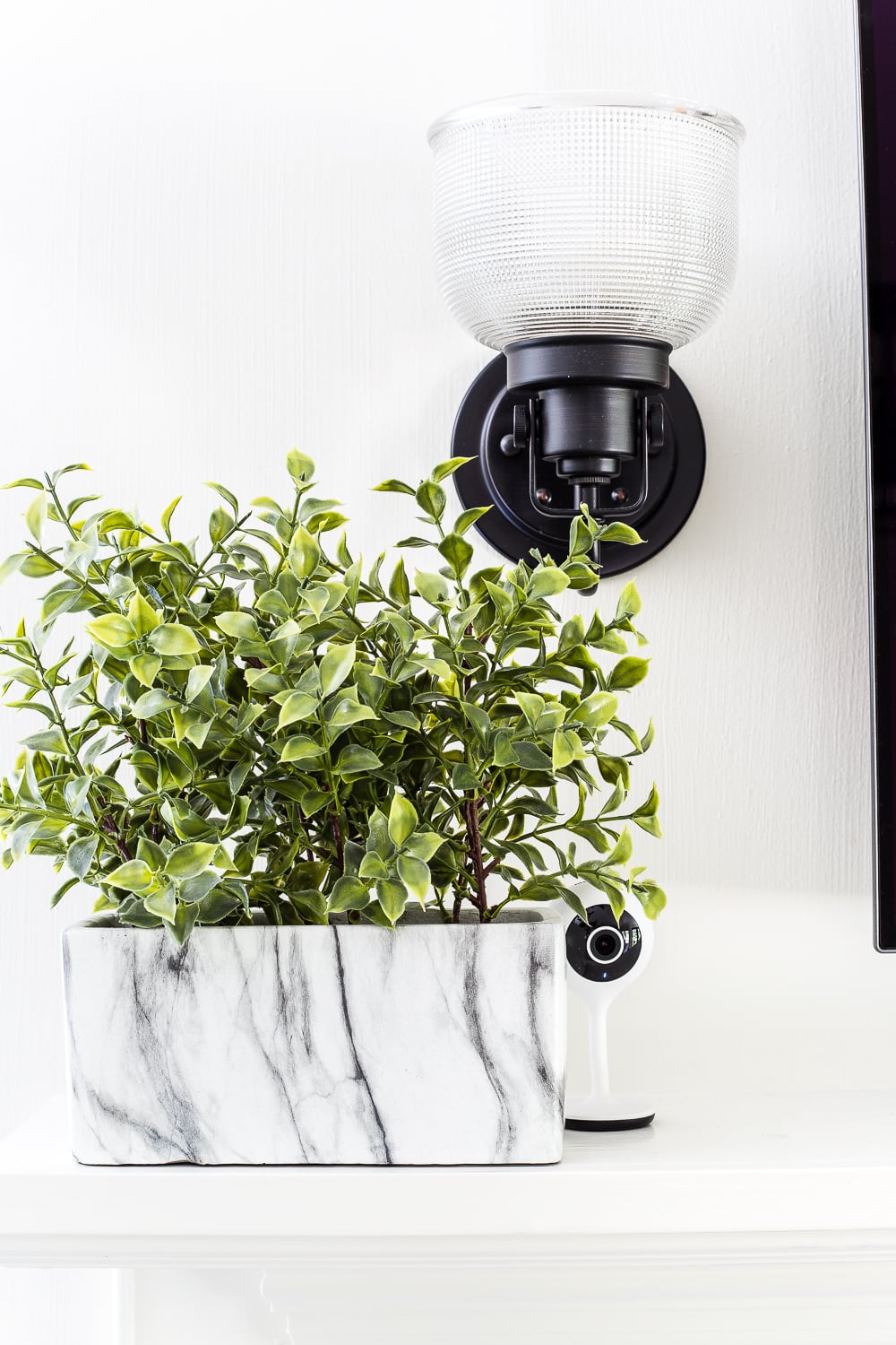 Place small electronics, cameras, and routers beside or behind plants.