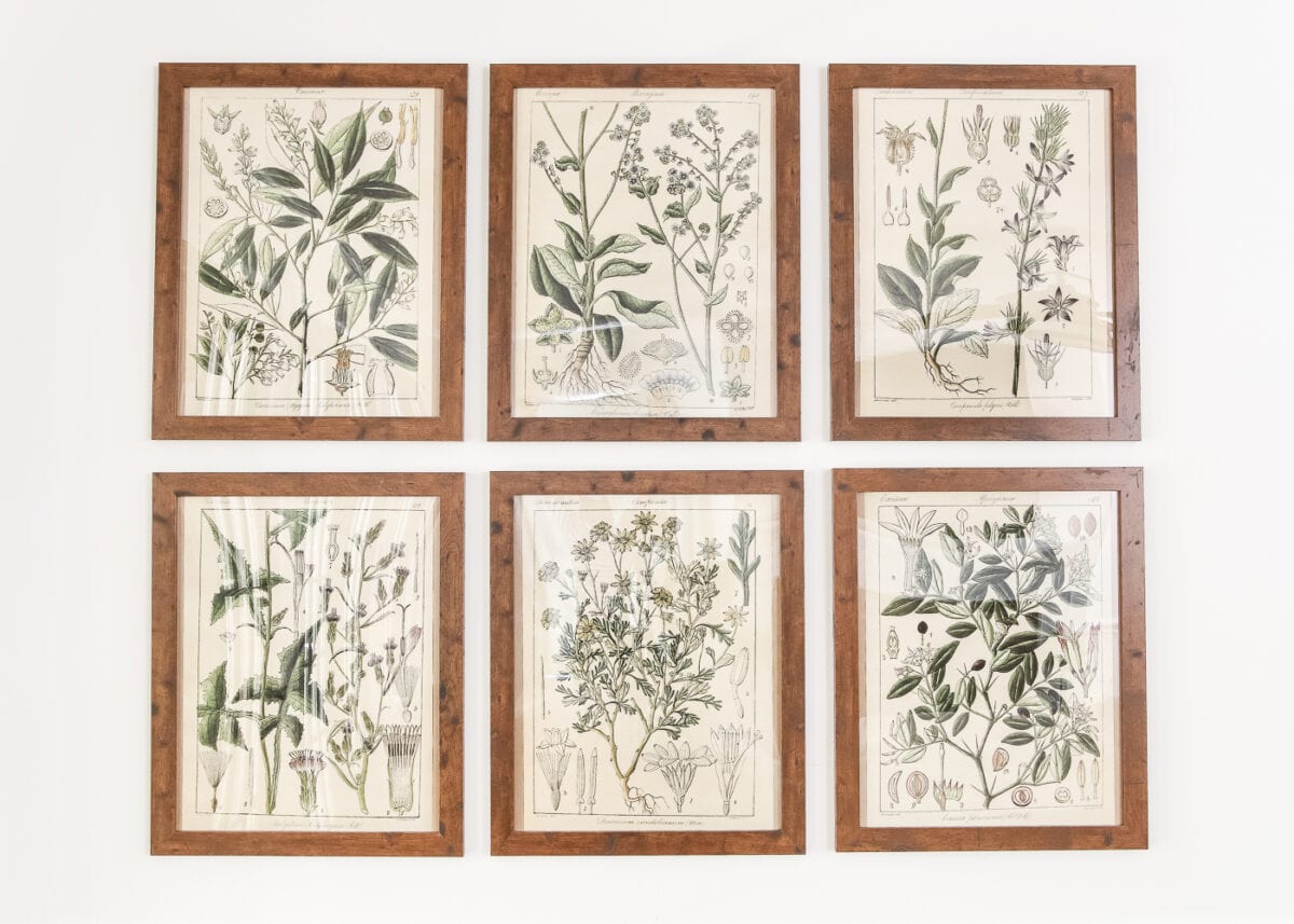Botany Printable Art and a Wall Decor Hanging Trick | blesserhouse.com - A free download of botany printable art perfect for spring and summer, plus a wall decor hanging hack to make hanging frames quick and easy.