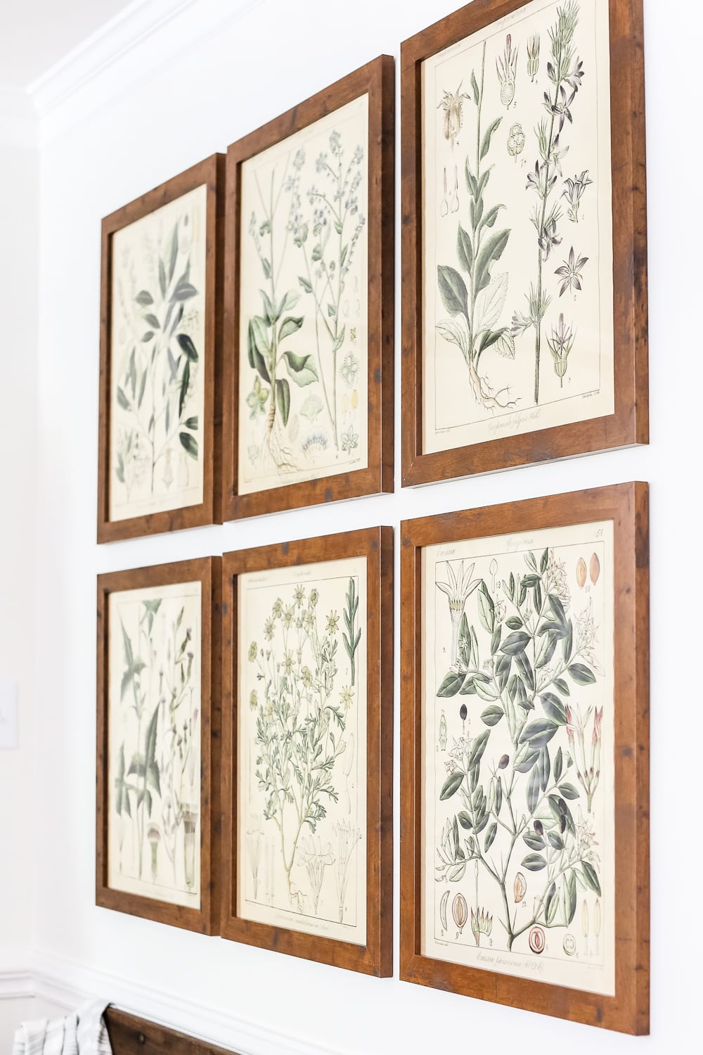 Botany Printable Art and a Wall Decor Hanging Trick | blesserhouse.com - A free download of botany printable art perfect for spring and summer, plus a wall decor hanging hack to make hanging frames quick and easy.