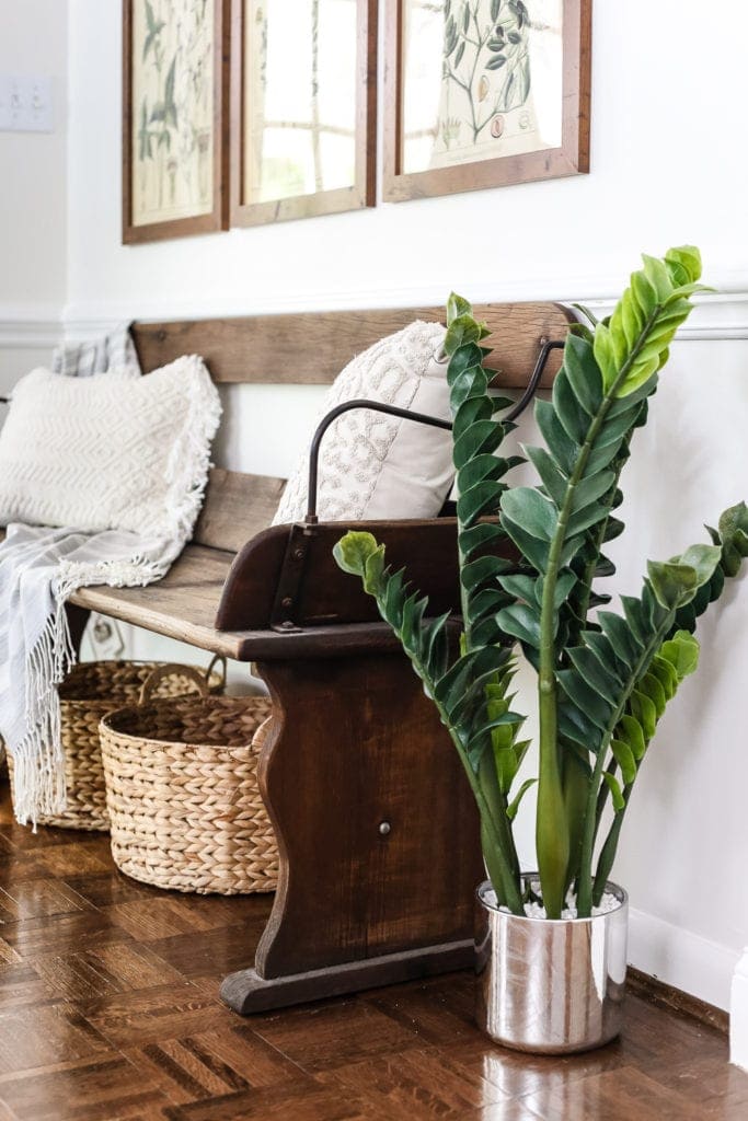 Botany Printable Art and a Wall Decor Hanging Trick | blesserhouse.com - A free download of botany printable art perfect for spring and summer, plus a wall decor hanging hack to make hanging frames quick and easy.