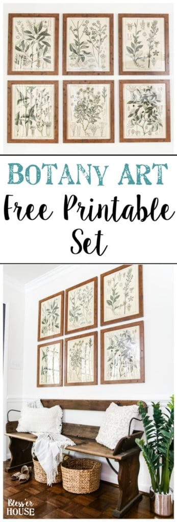 Botany Printable Art and a Wall Decor Hanging Trick | blesserhouse.com - A free download of botany printable art perfect for spring and summer, plus a wall decor hanging hack to make hanging frames quick and easy.