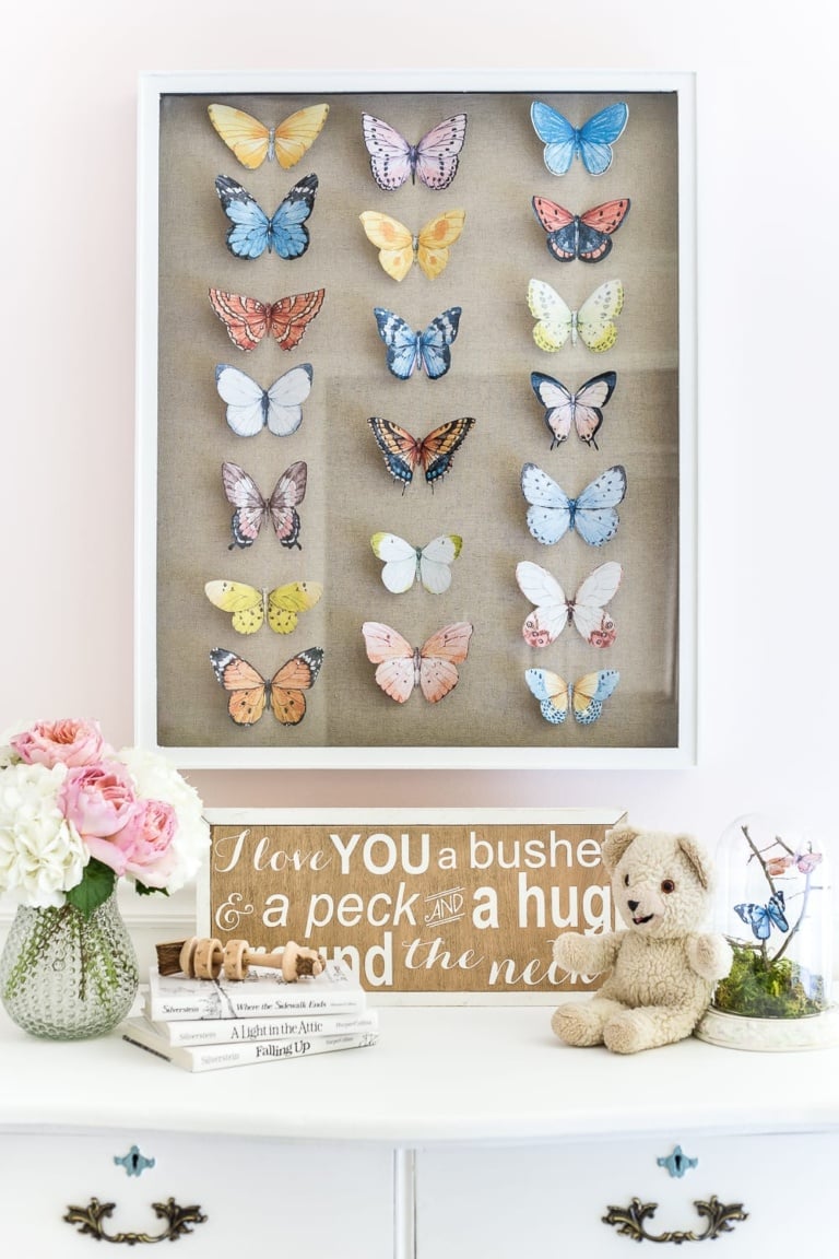 DIY Butterfly Study Shadow Box
