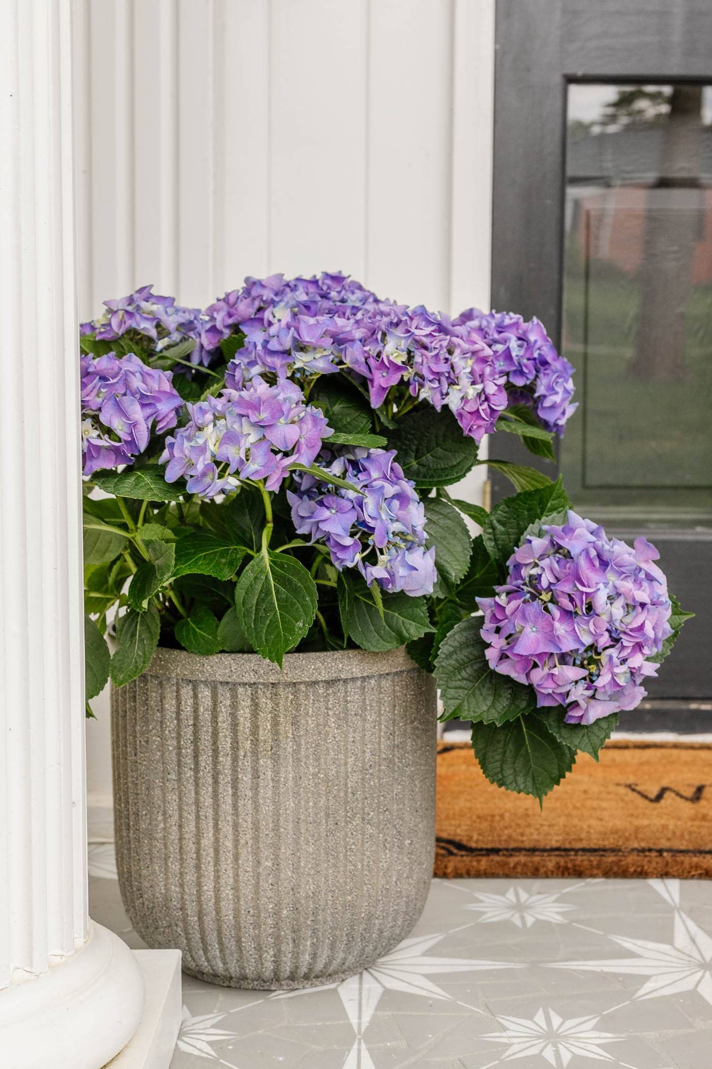 faux concrete planters on a front porch with purple hydrangeas