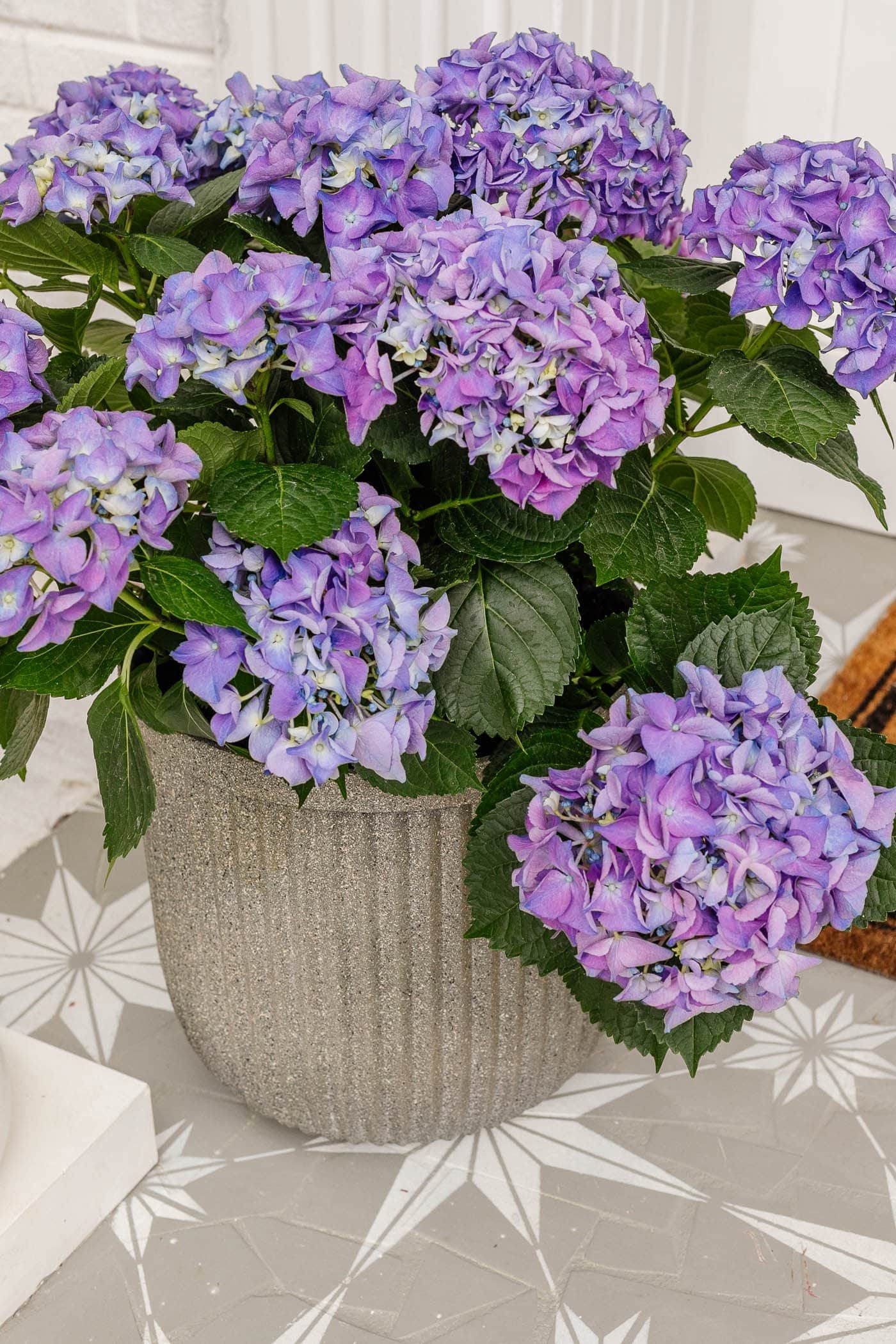 fluted planter painted to look like concrete with purple flowers