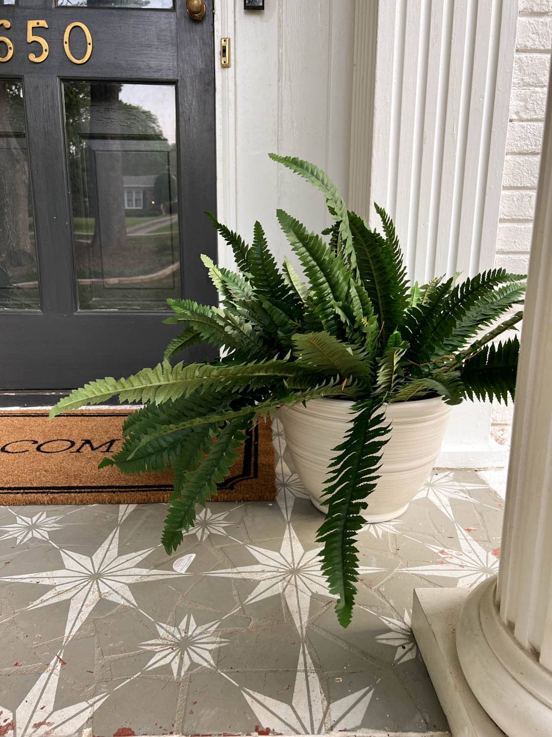 artificial fern on a porch beside a front door