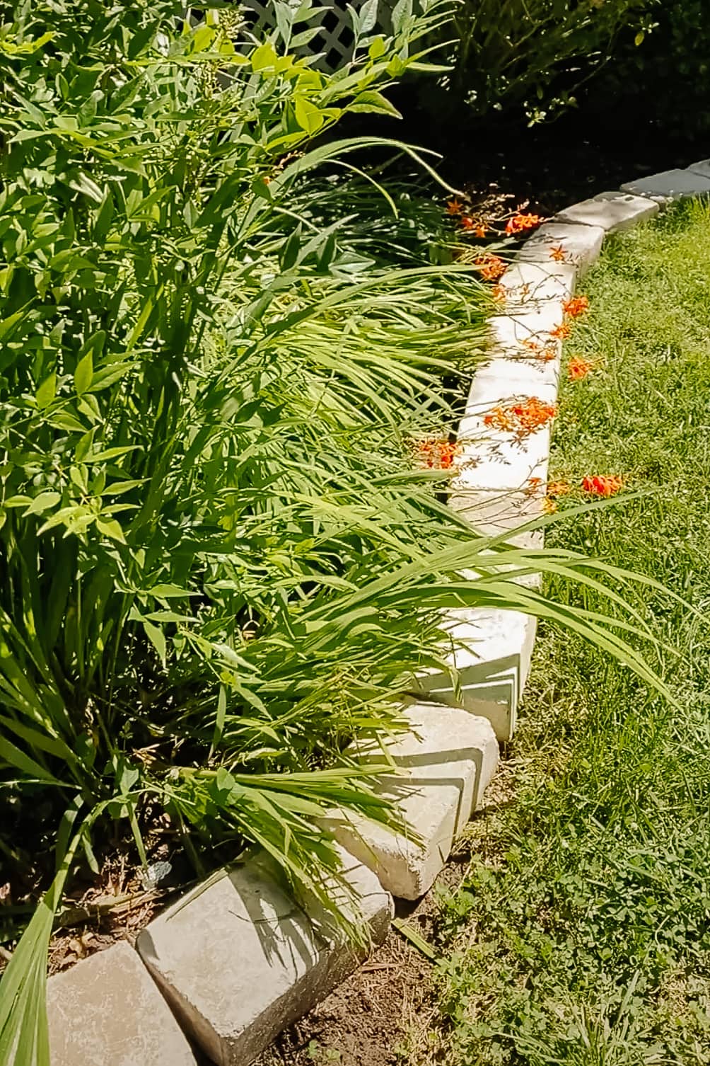 stone edgers around a flower bed