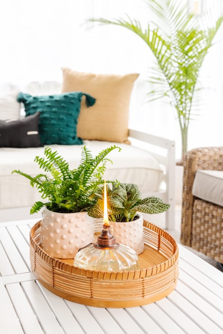 How to Keep Away Mosquitoes From Your Porch or Patio