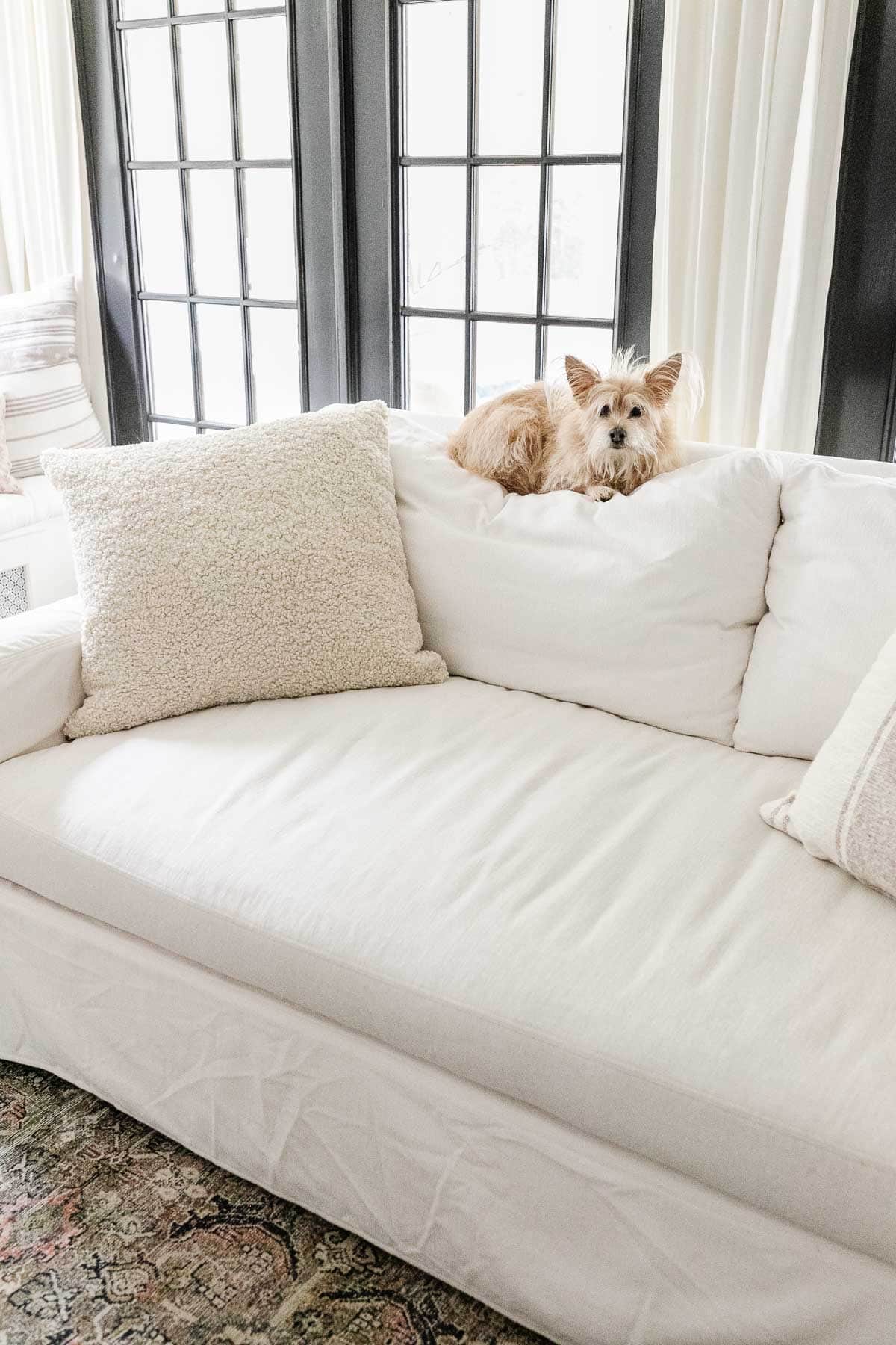 pottery barn sofa