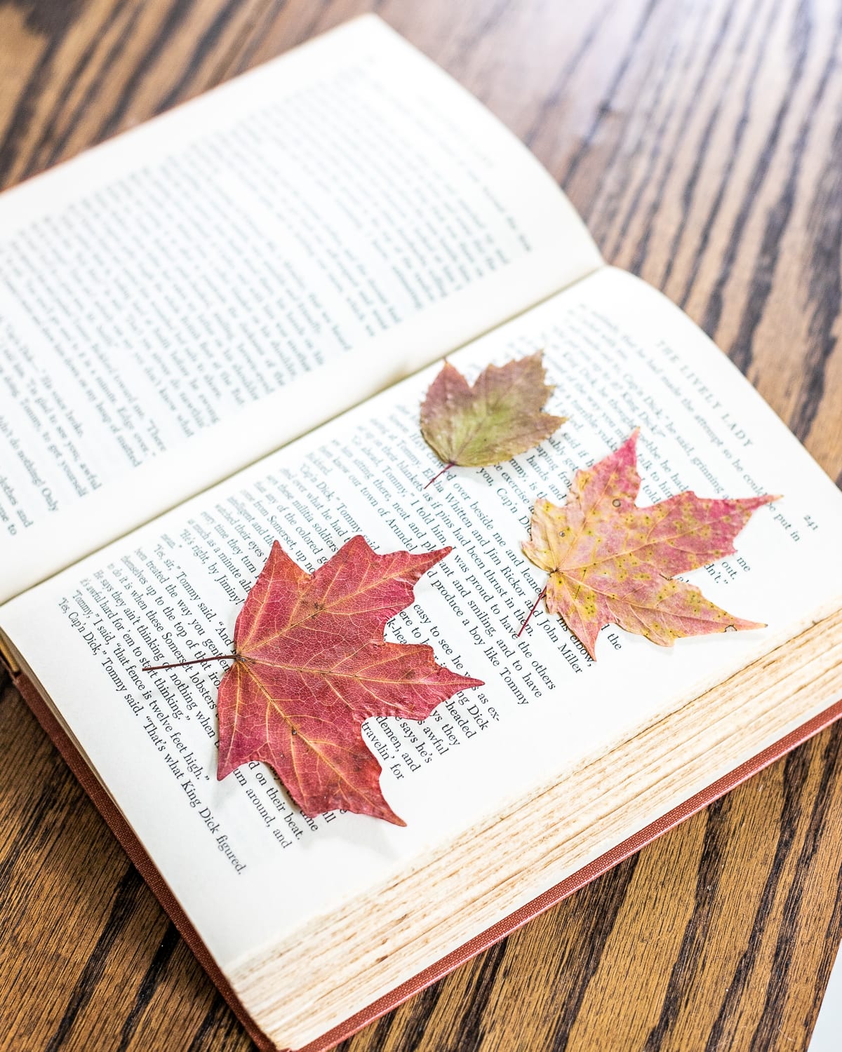 pressed dried fall leaves