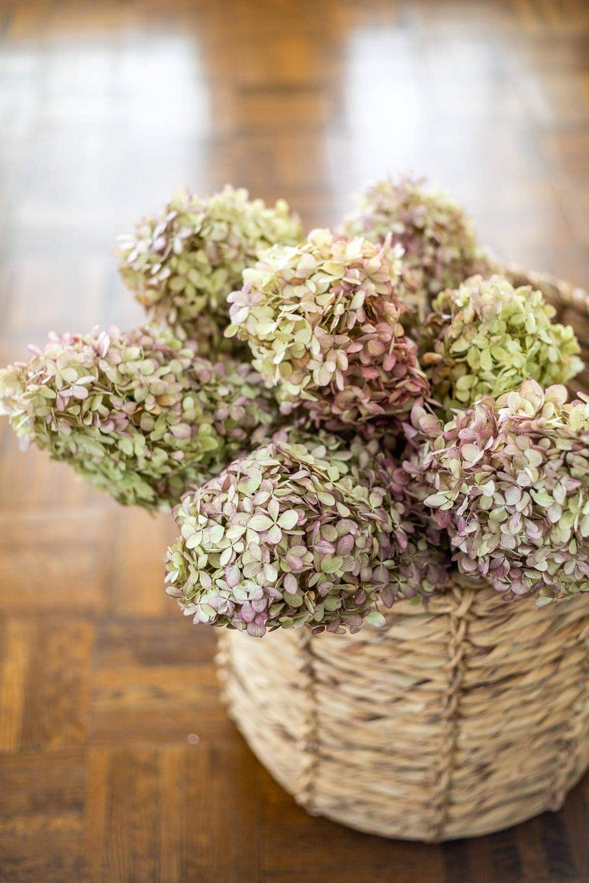 dried hydrangeas