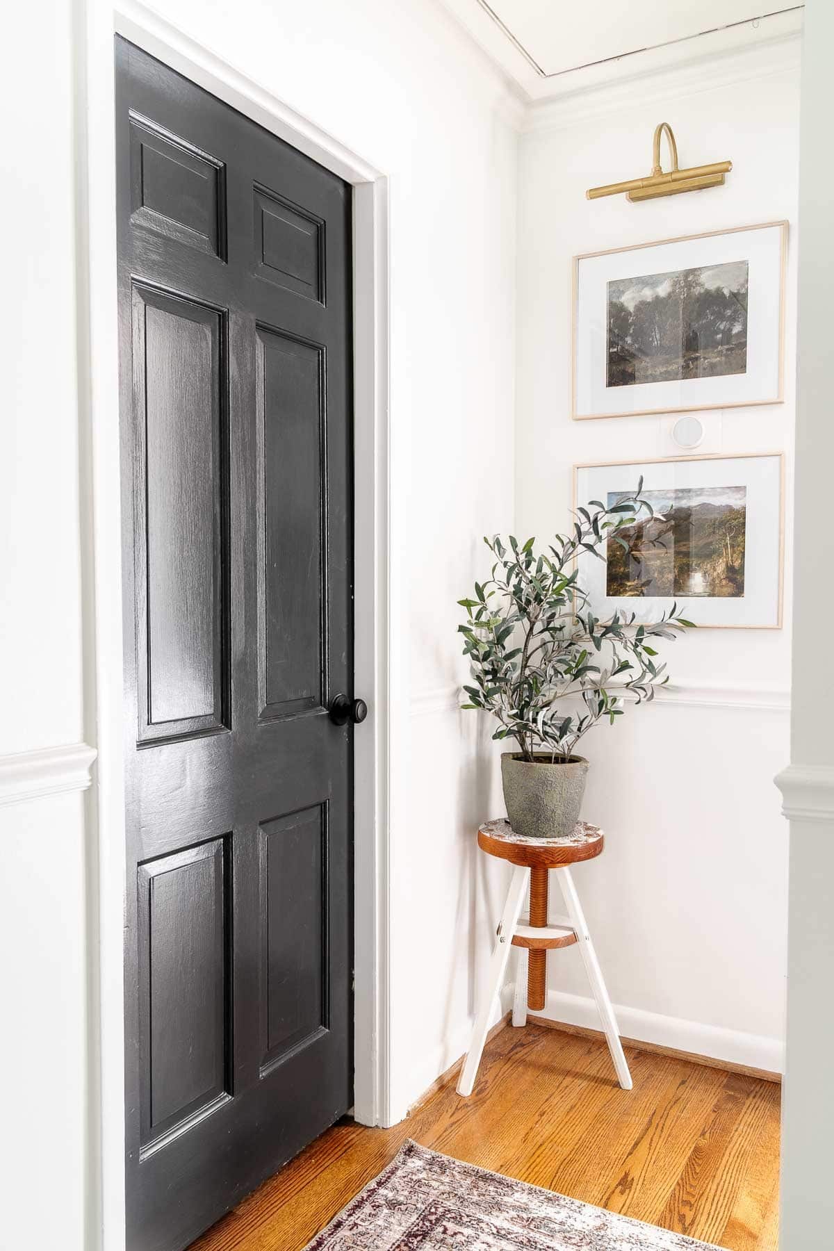 black door and white walls in a small hallway with faux plant, art, and picture light