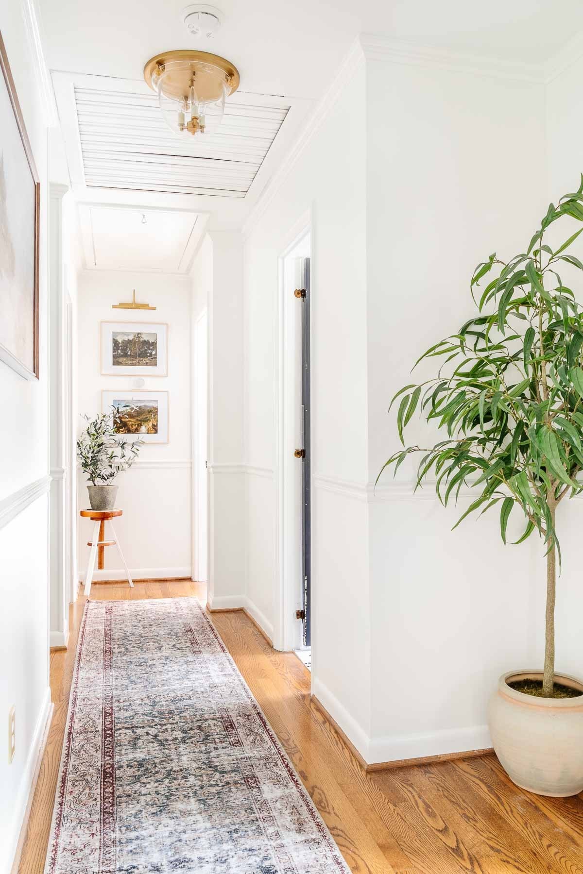 white painted hallway with plants and runner rug