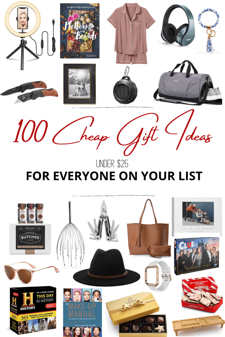 100 Best Cheap Gift Ideas for Christmas Under $25