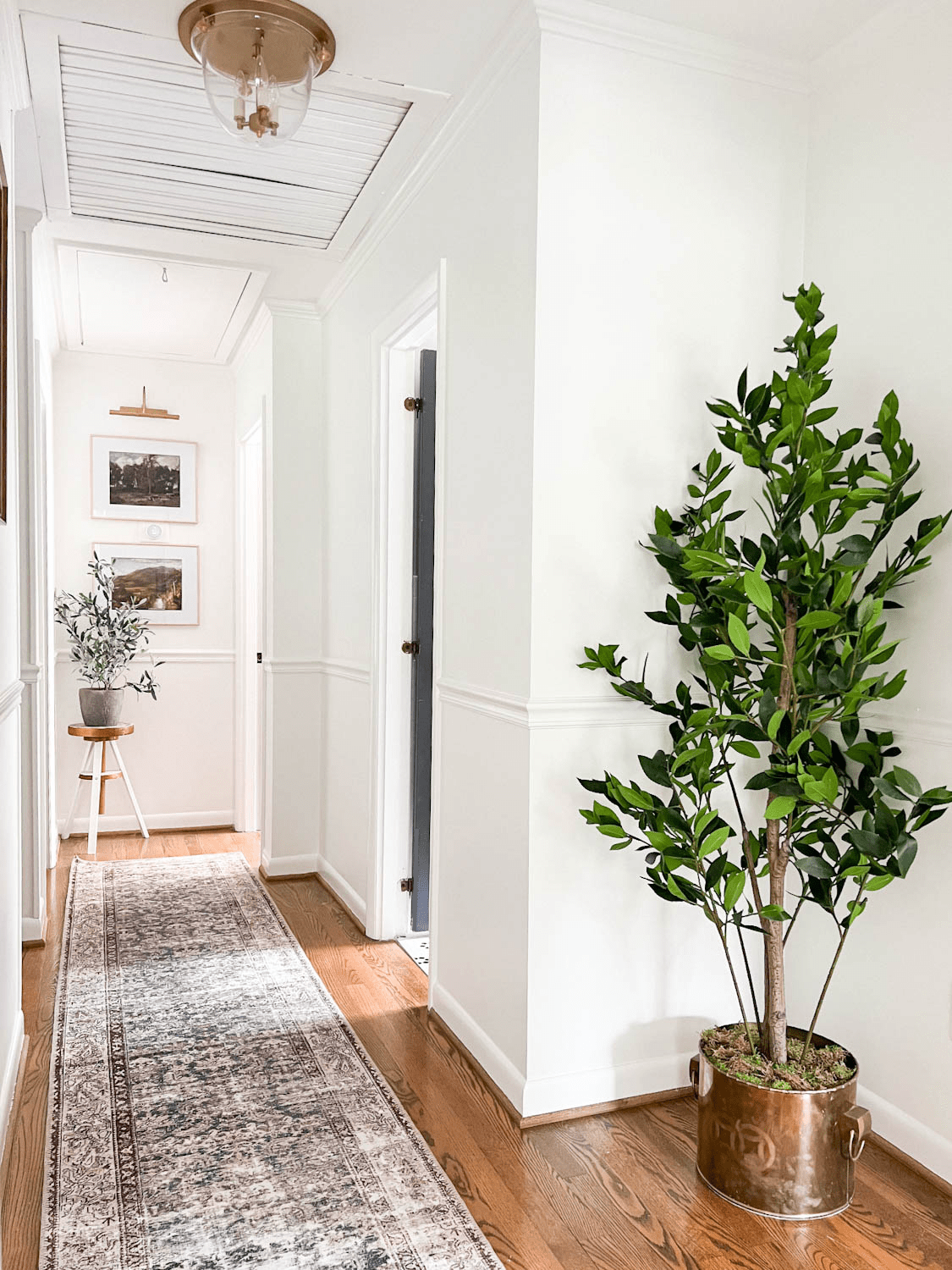 hallway decor with faux potted plant and runner rug